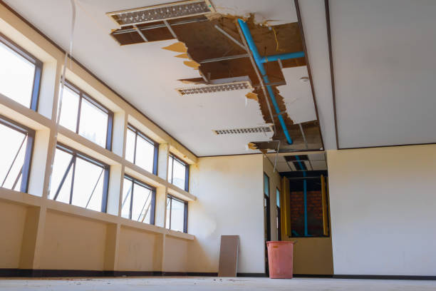 Best Commercial water damage restoration  in Waverly, VA