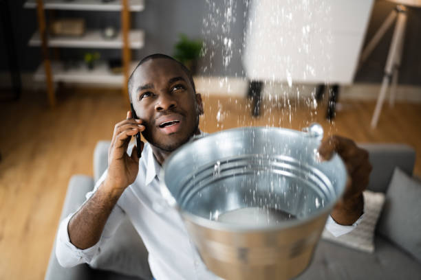 Best Water damage restoration near me  in Waverly, VA