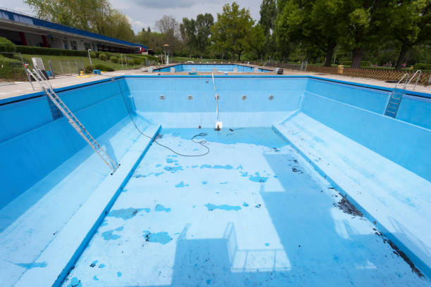 Best Flood damage cleanup  in Waverly, VA