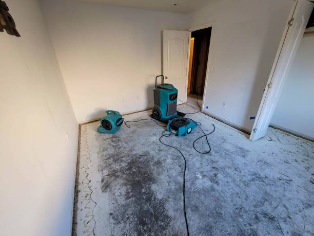 Best Ceiling water damage repair  in Waverly, VA