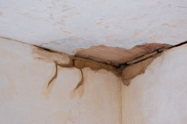 Best Flooded house restoration  in Waverly, VA