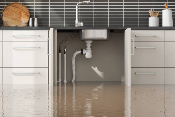 Best Flood restoration services  in Waverly, VA