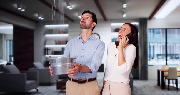 Best Carpet water damage restoration  in Waverly, VA